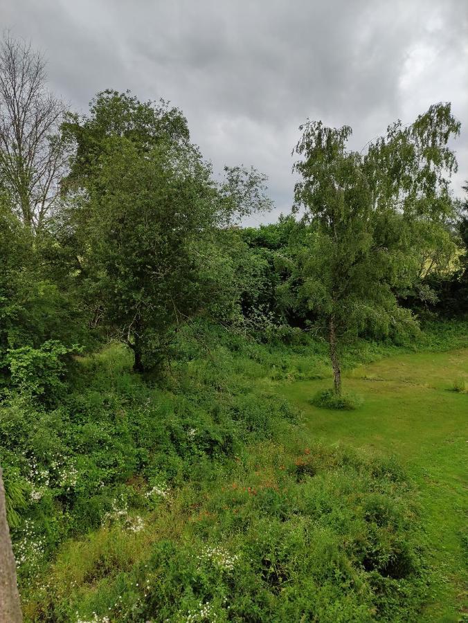 Gite Les Eylauds Pionsat Exterior photo
